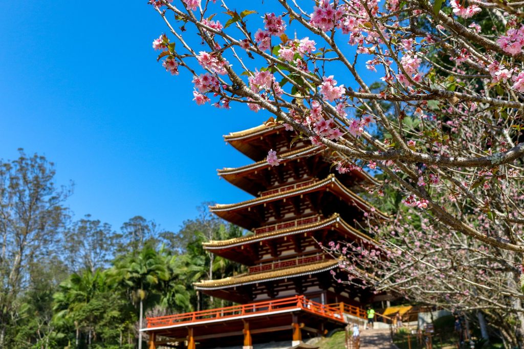 Torre de Miroku e Parque Oriental